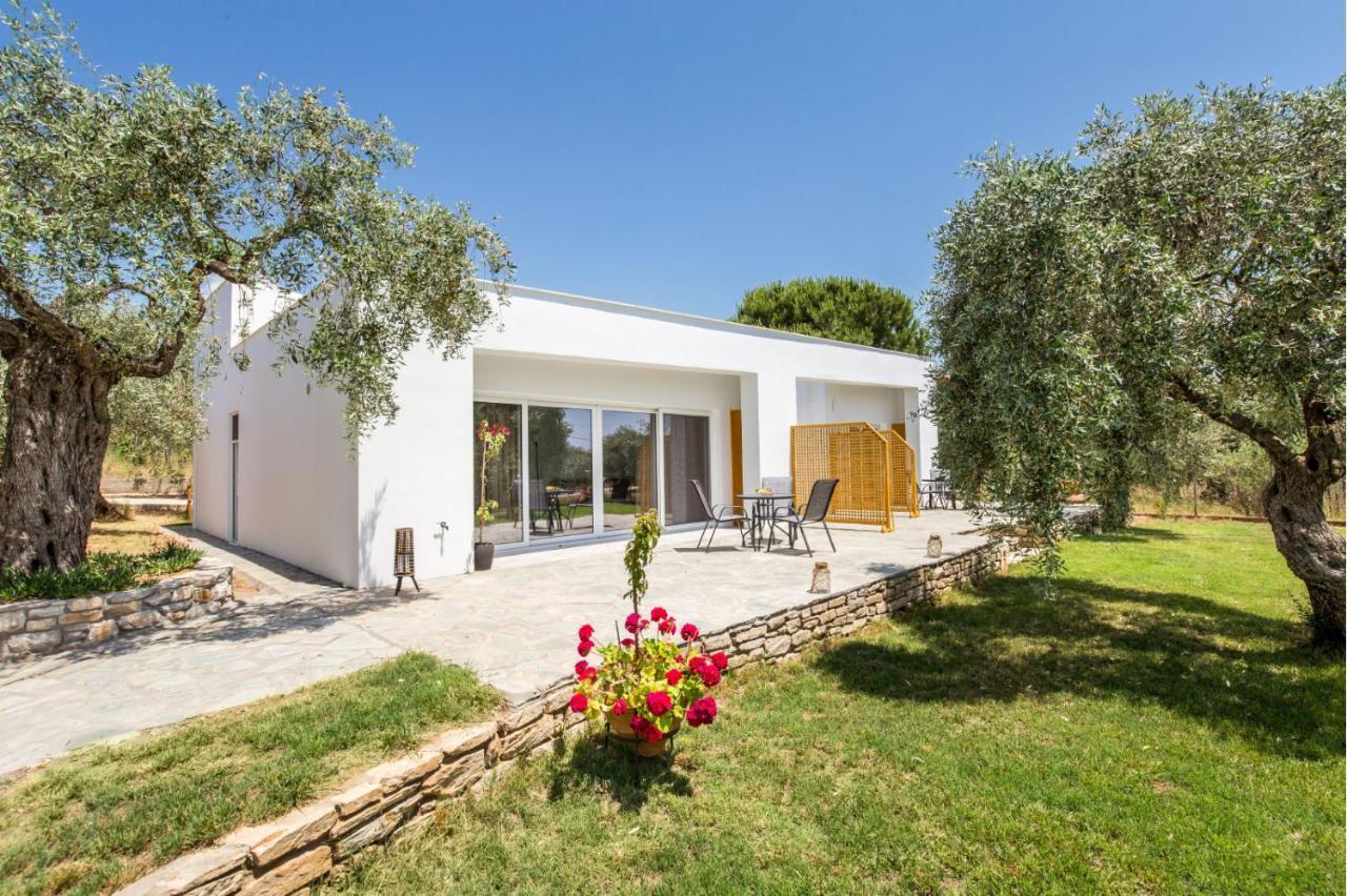 Avgoustidis Apartments Λιμενάρια Εξωτερικό φωτογραφία